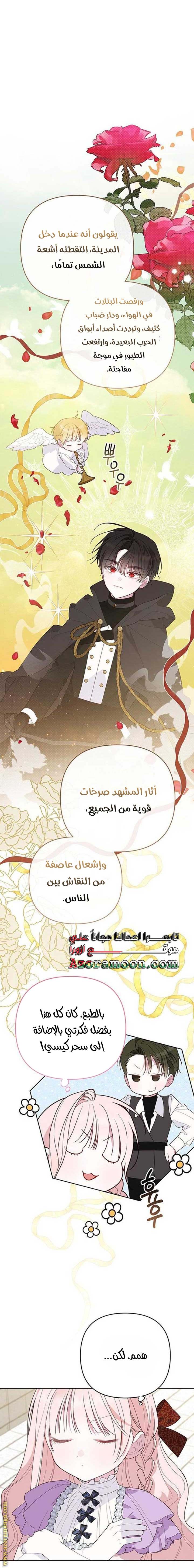 الصفحة 13