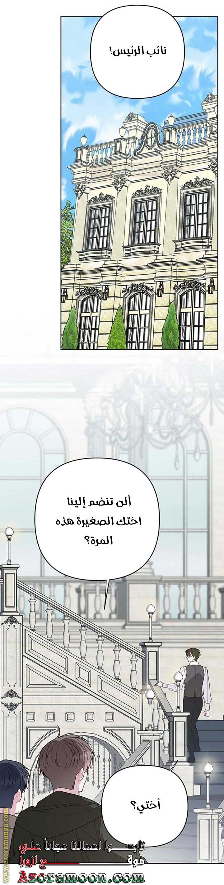 الصفحة 29