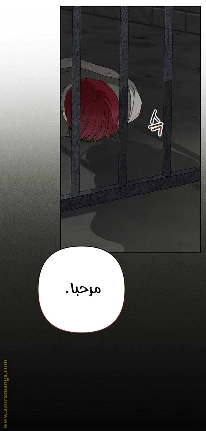 الصفحة 42