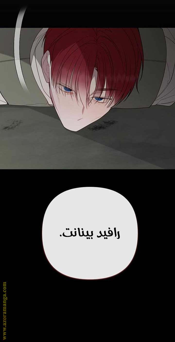 الصفحة 43