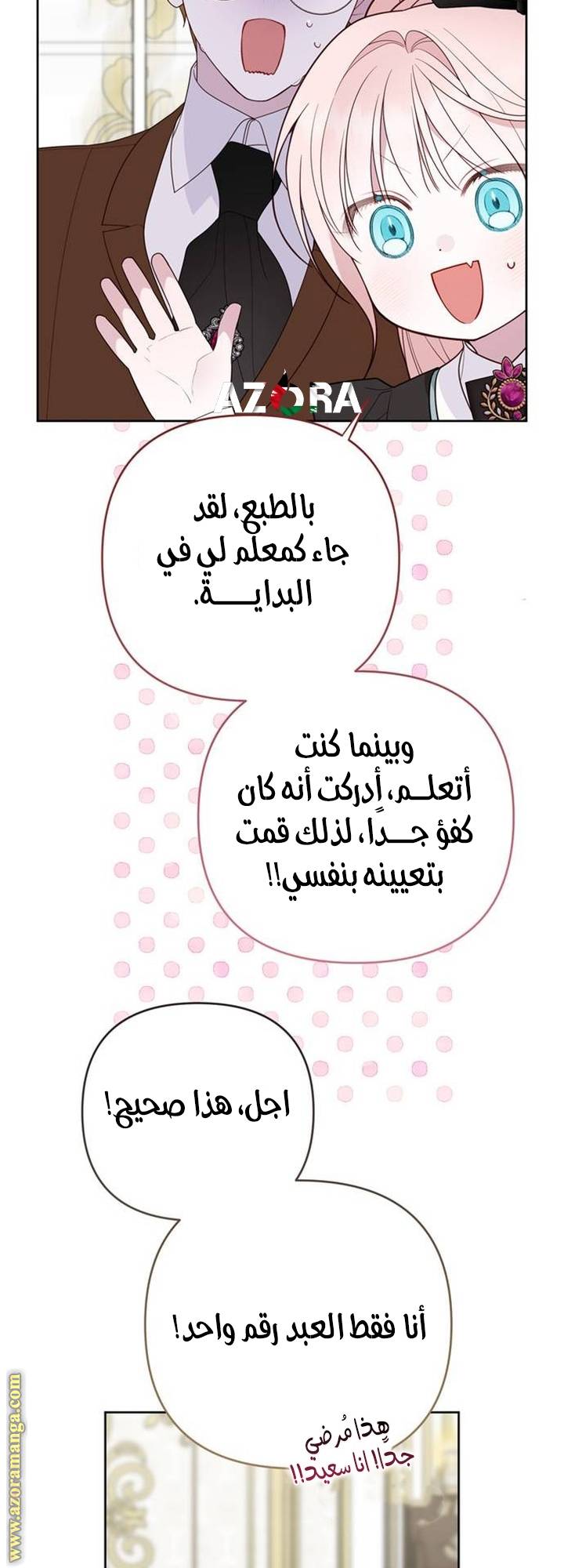 الصفحة 17