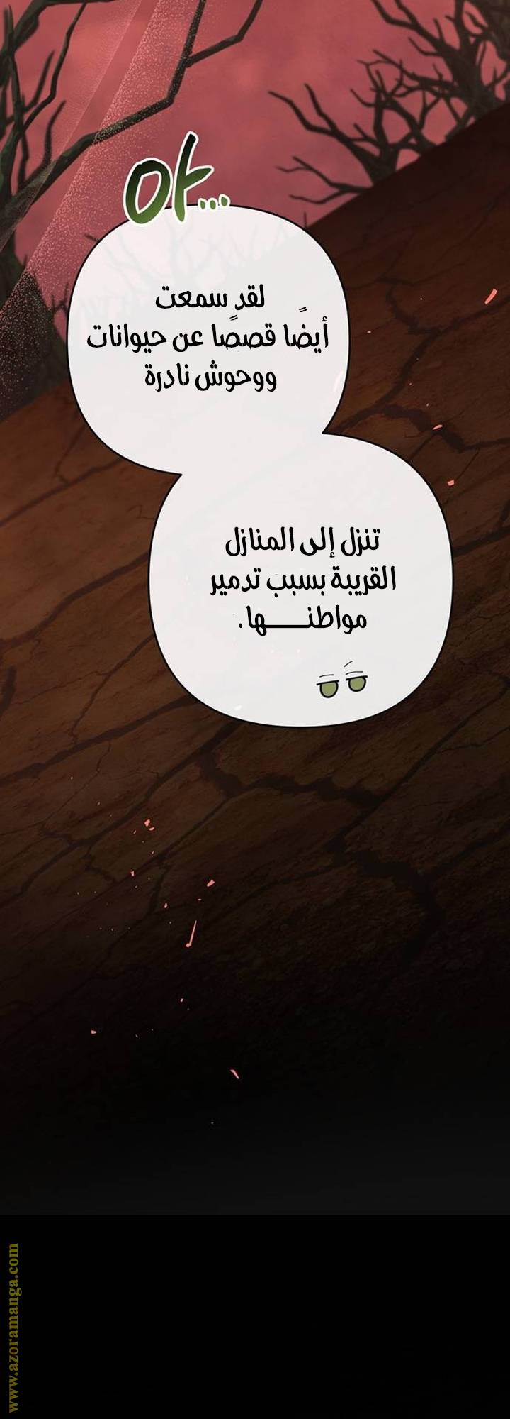 الصفحة 24
