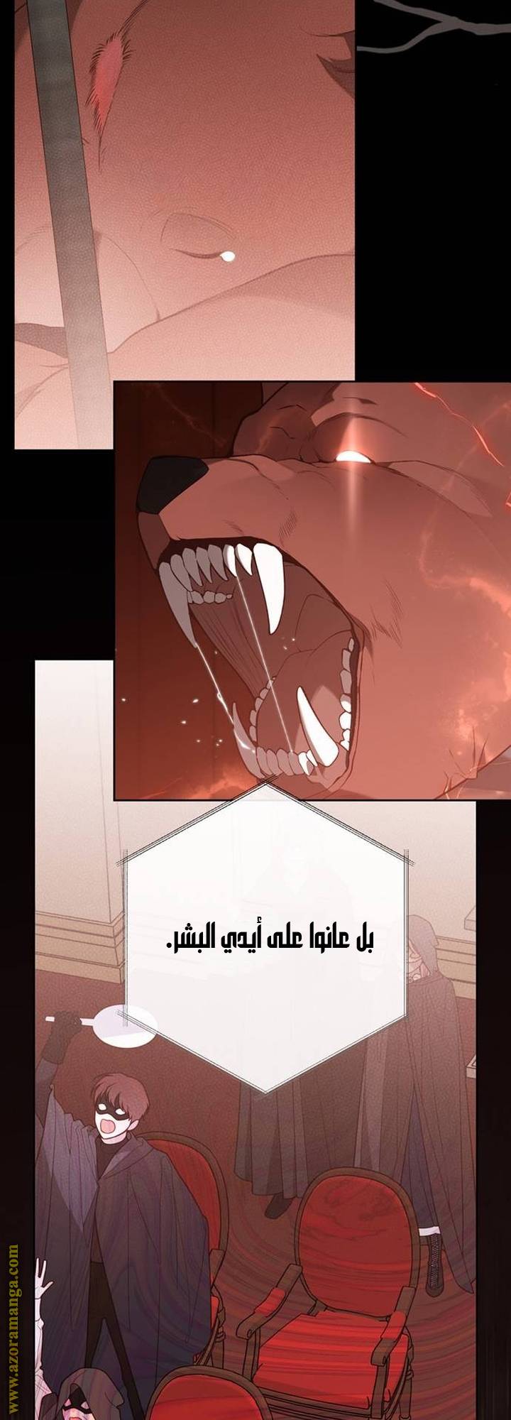 الصفحة 27