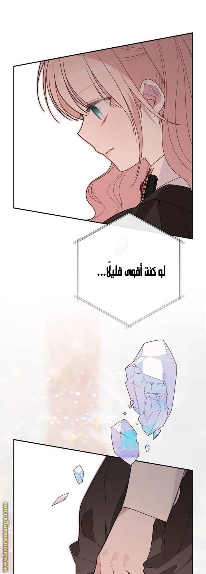 الصفحة 29