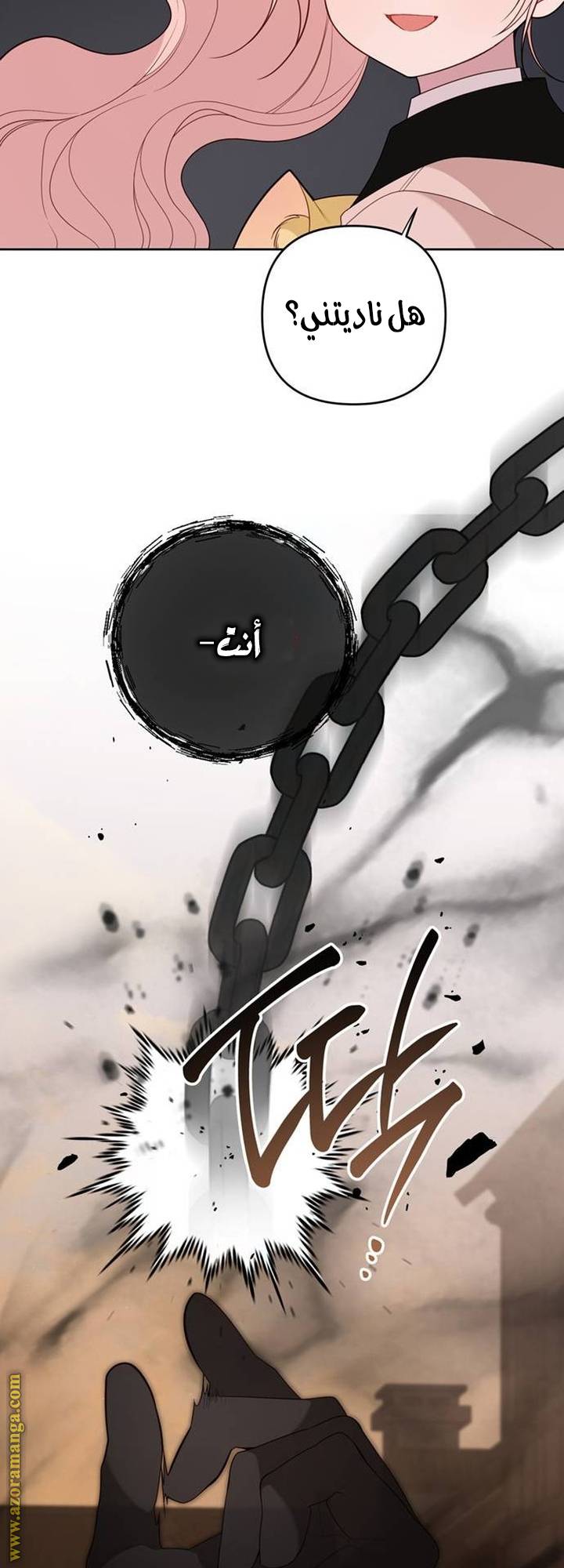 الصفحة 49