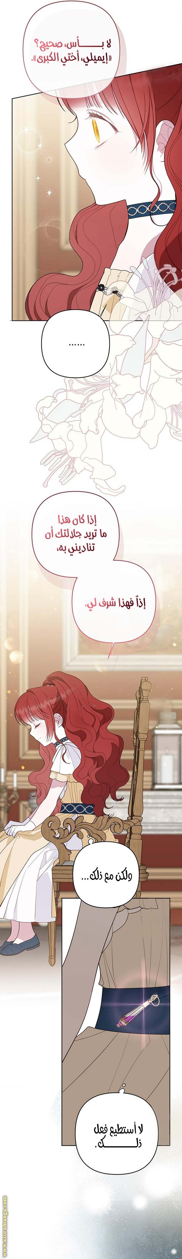 الصفحة 16