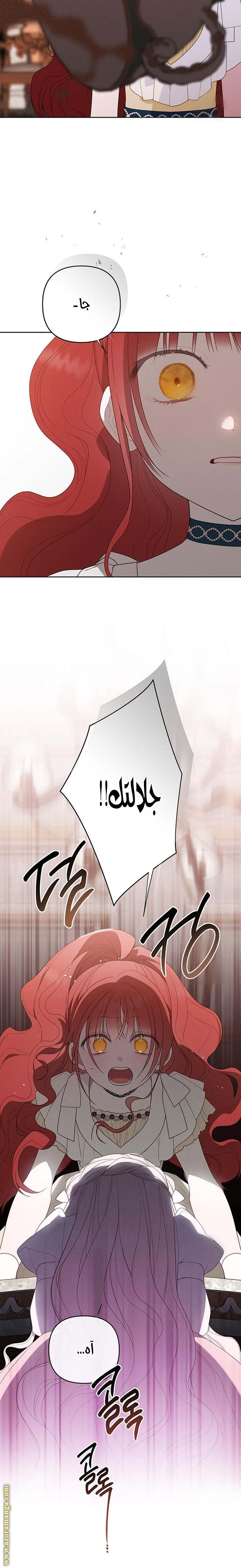 الصفحة 19