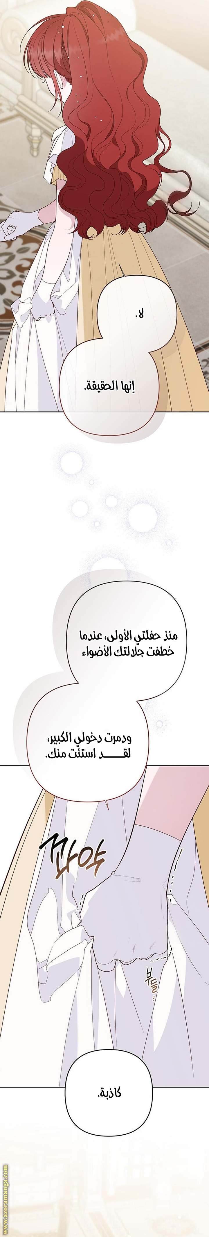 الصفحة 26