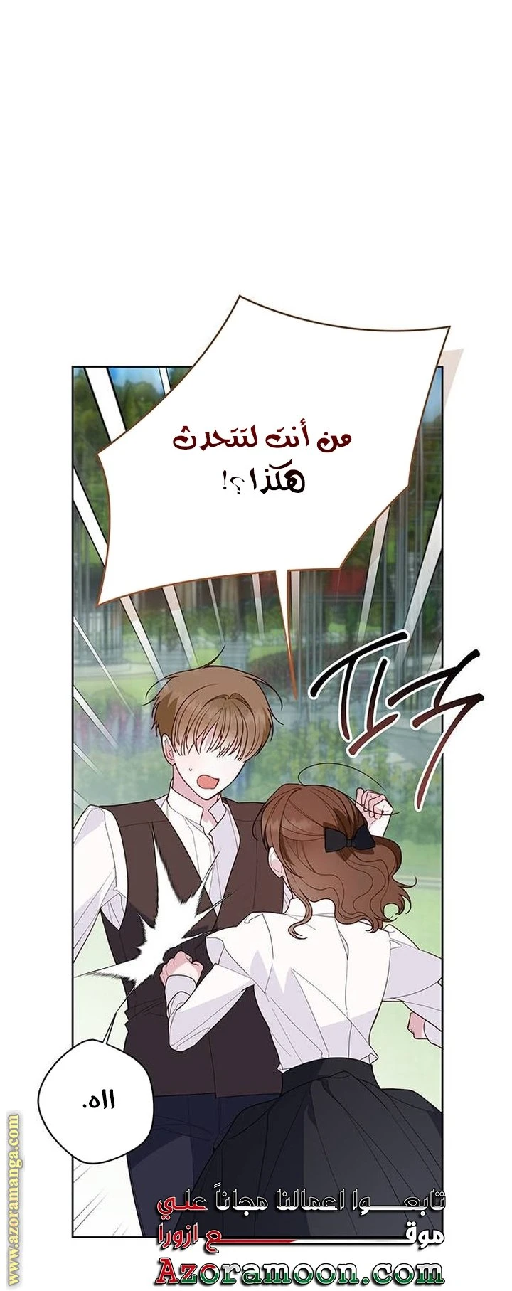 الصفحة 17