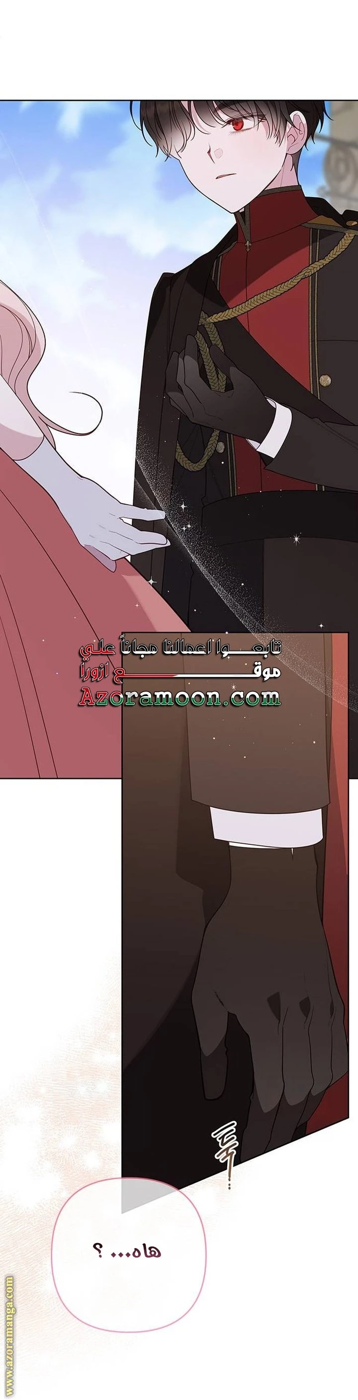 الصفحة 27