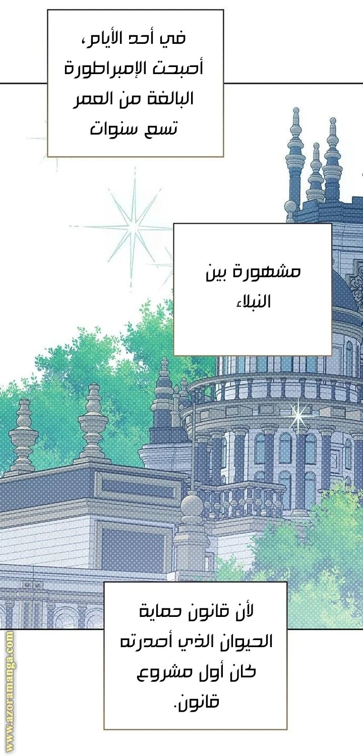 الصفحة 47