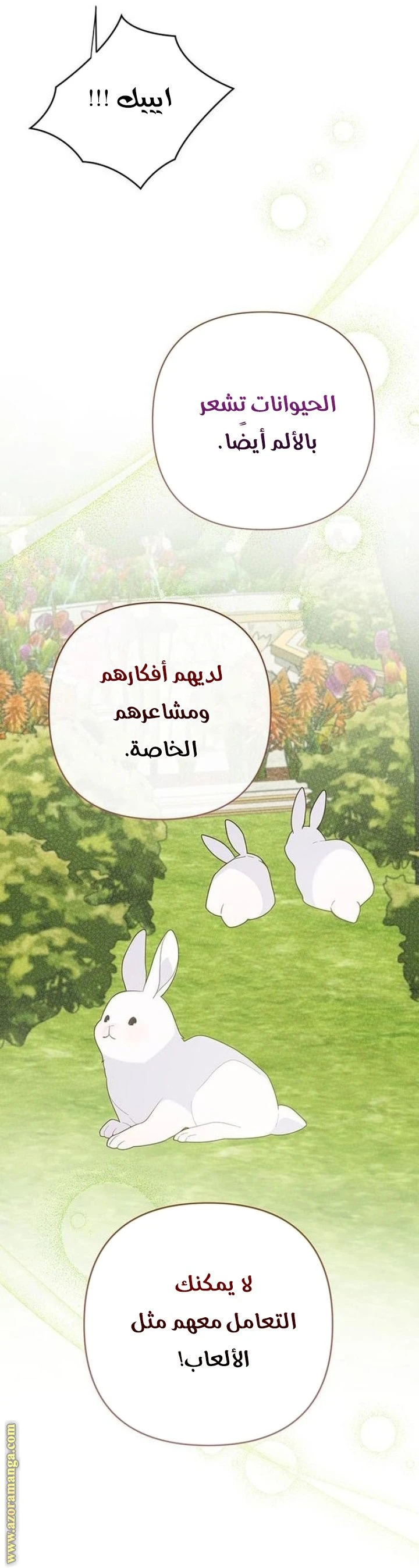 الصفحة 26