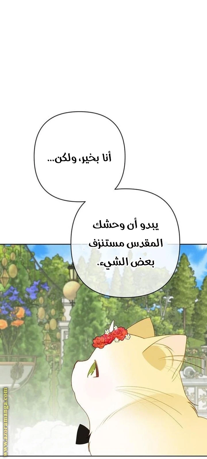 الصفحة 41