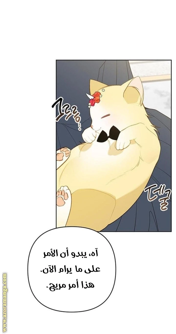 الصفحة 43