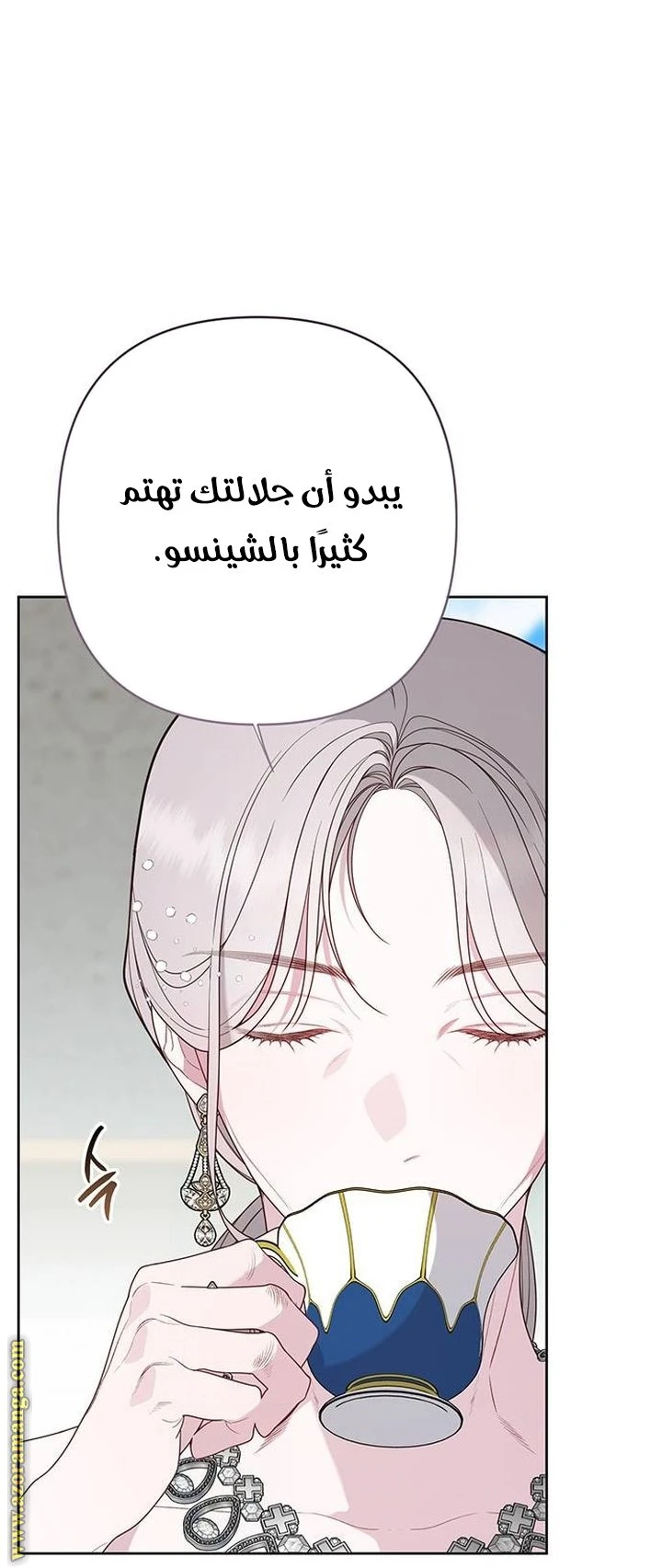 الصفحة 19