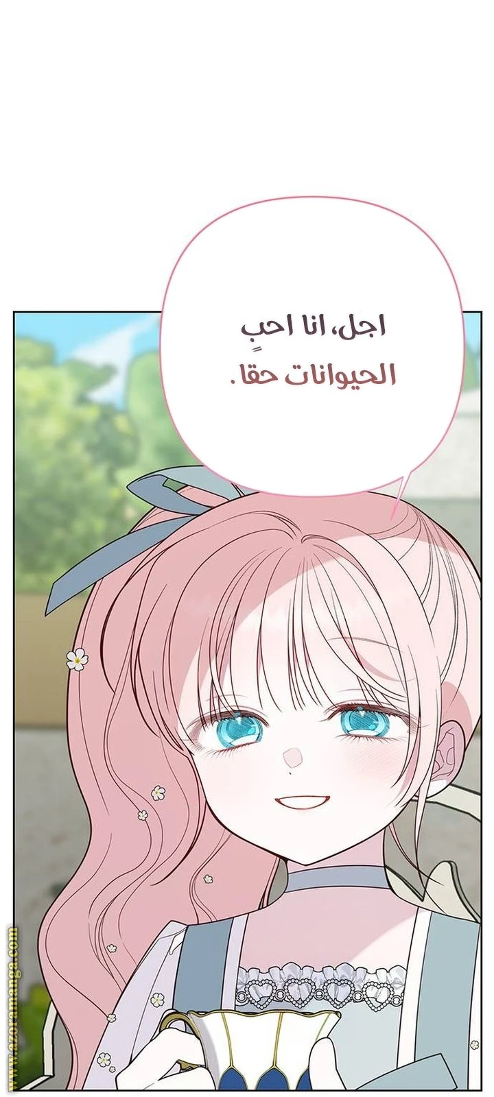 الصفحة 20