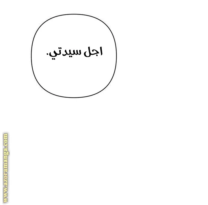 الصفحة 28