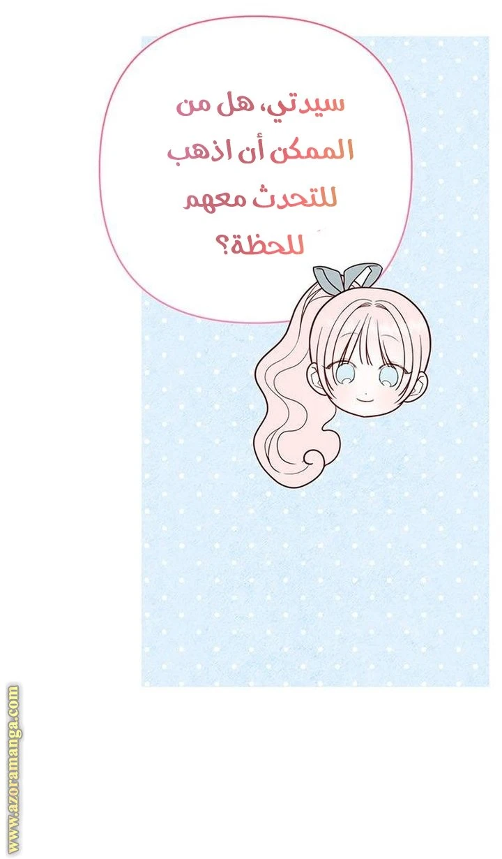 الصفحة 29