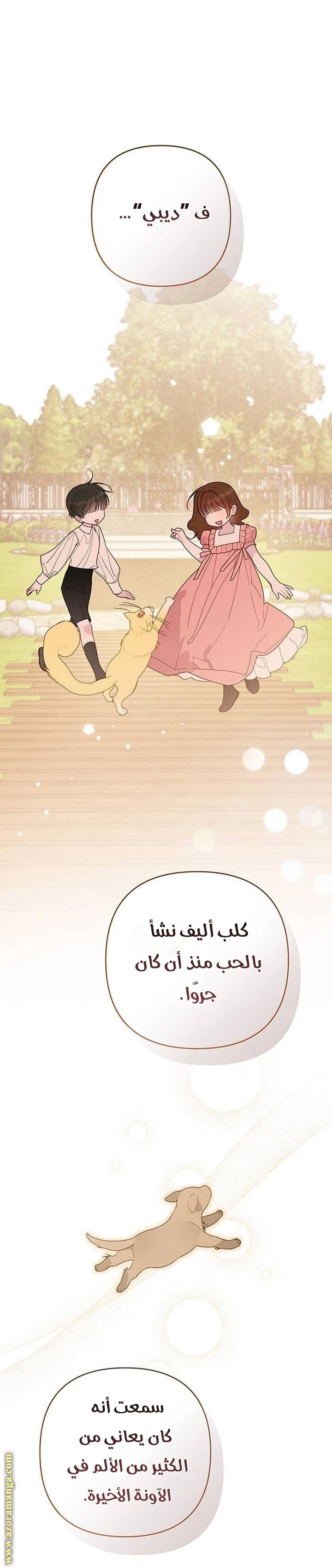 الصفحة 41