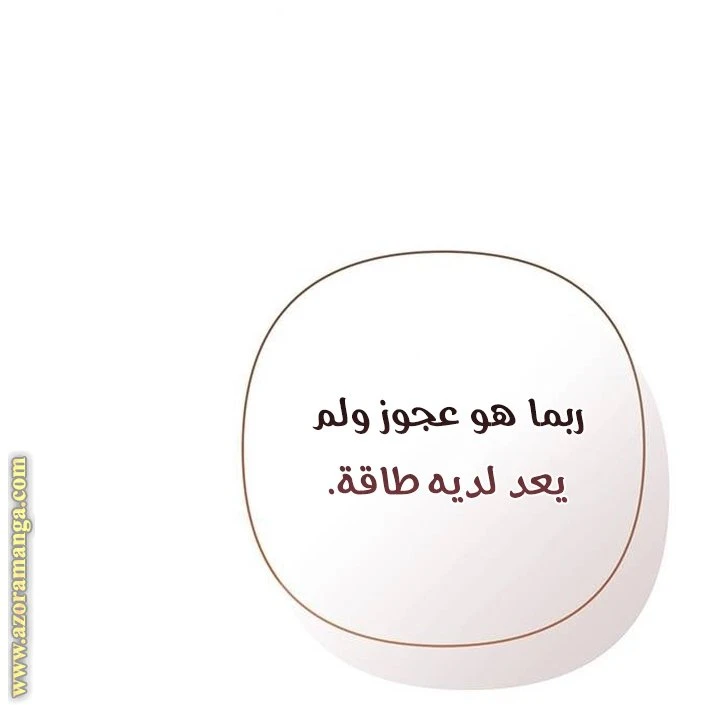 الصفحة 42
