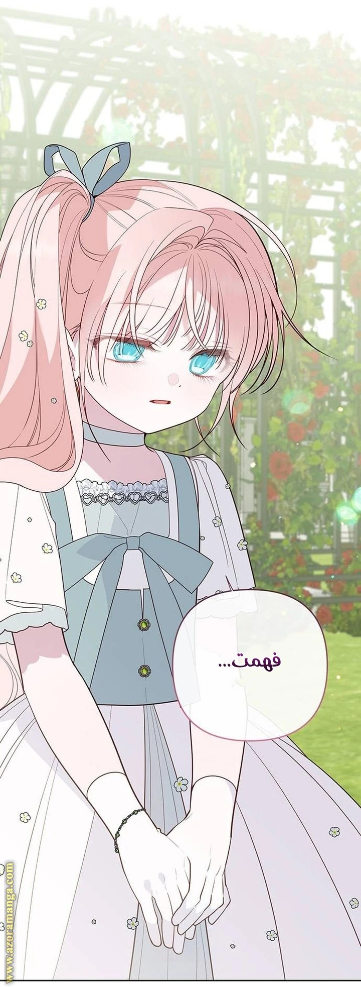 الصفحة 43