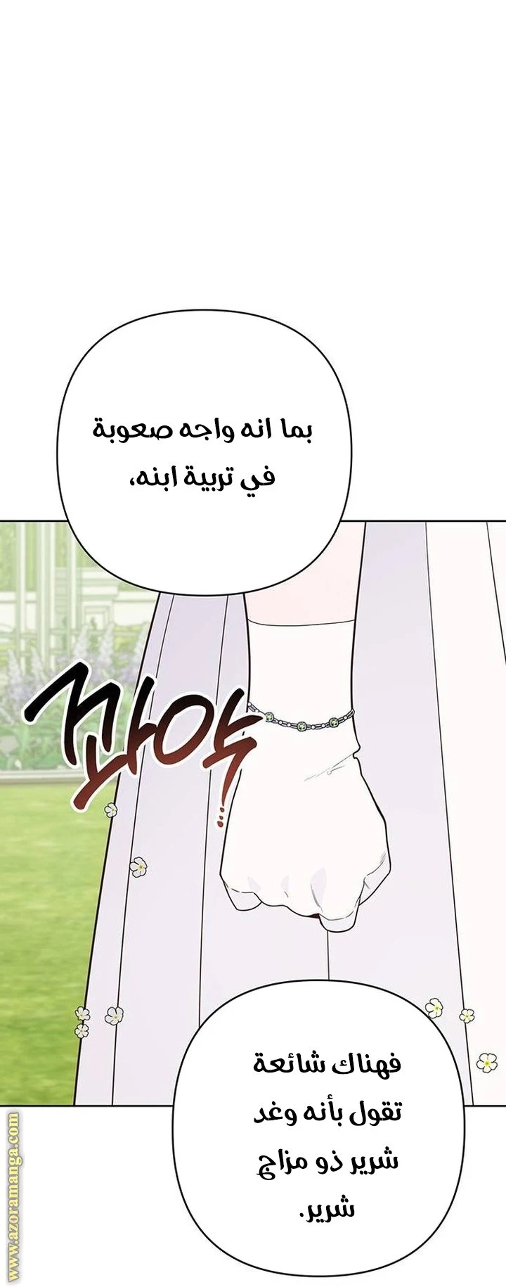 الصفحة 53
