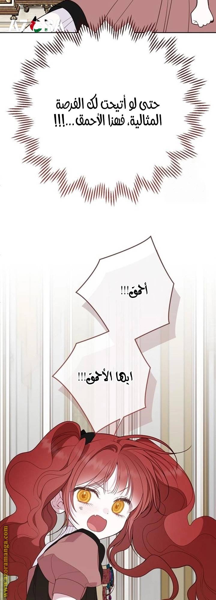 الصفحة 20