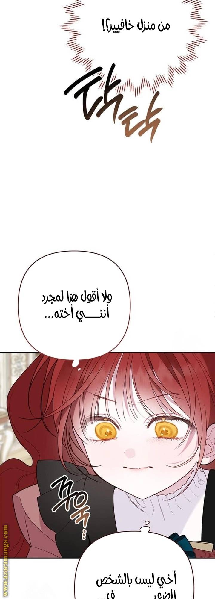 الصفحة 24