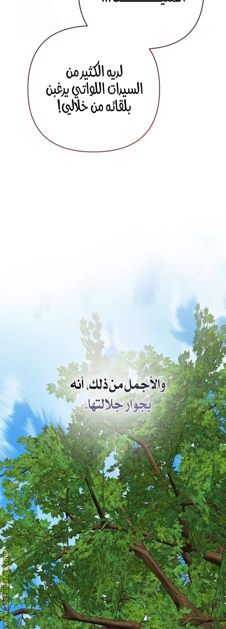 الصفحة 25