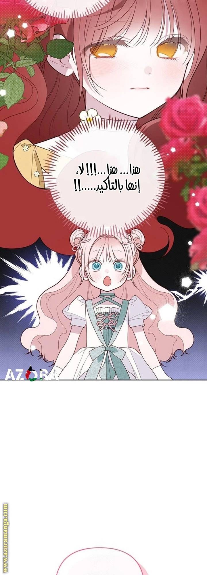 الصفحة 35