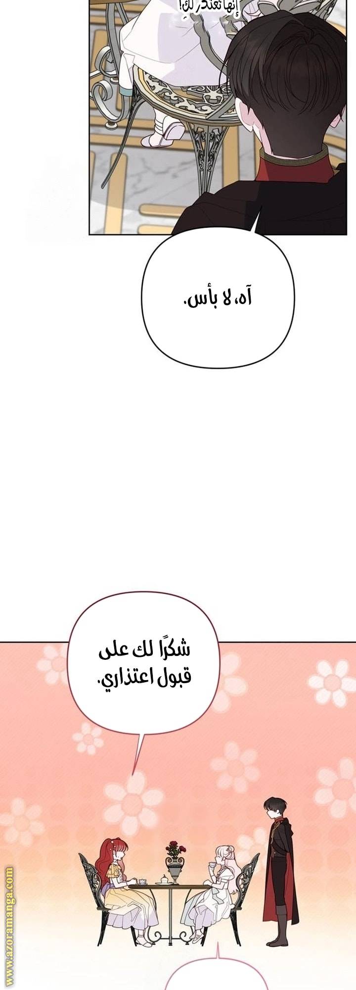 الصفحة 43