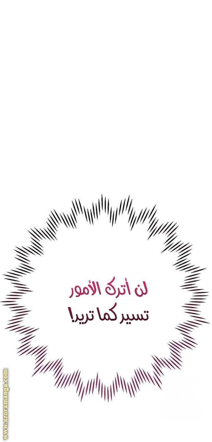 الصفحة 27
