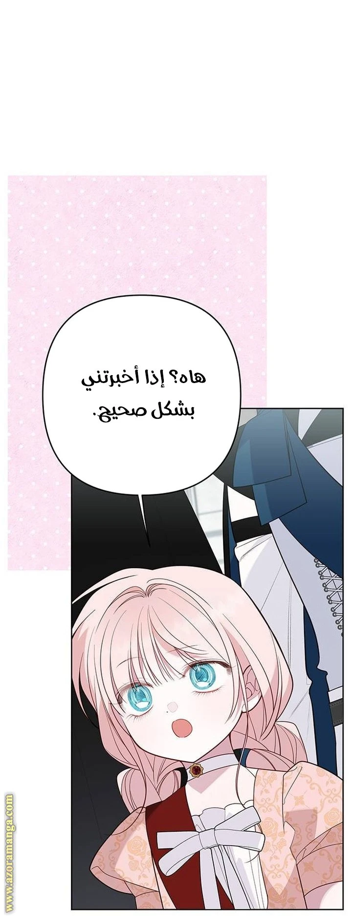 الصفحة 40