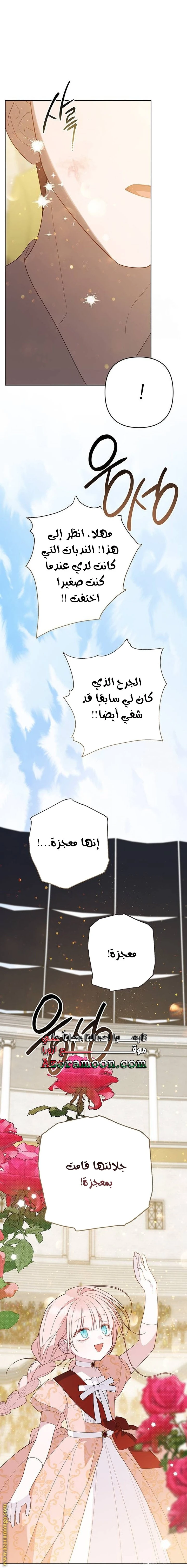 الصفحة 46