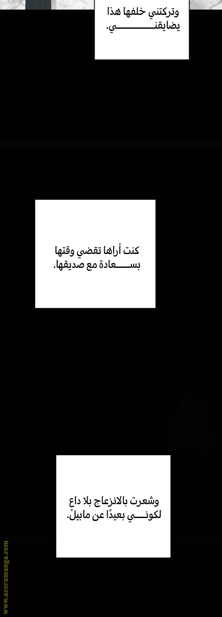 الصفحة 42