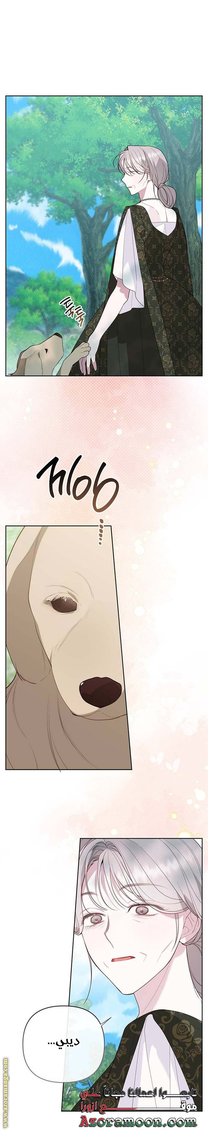 الصفحة 14