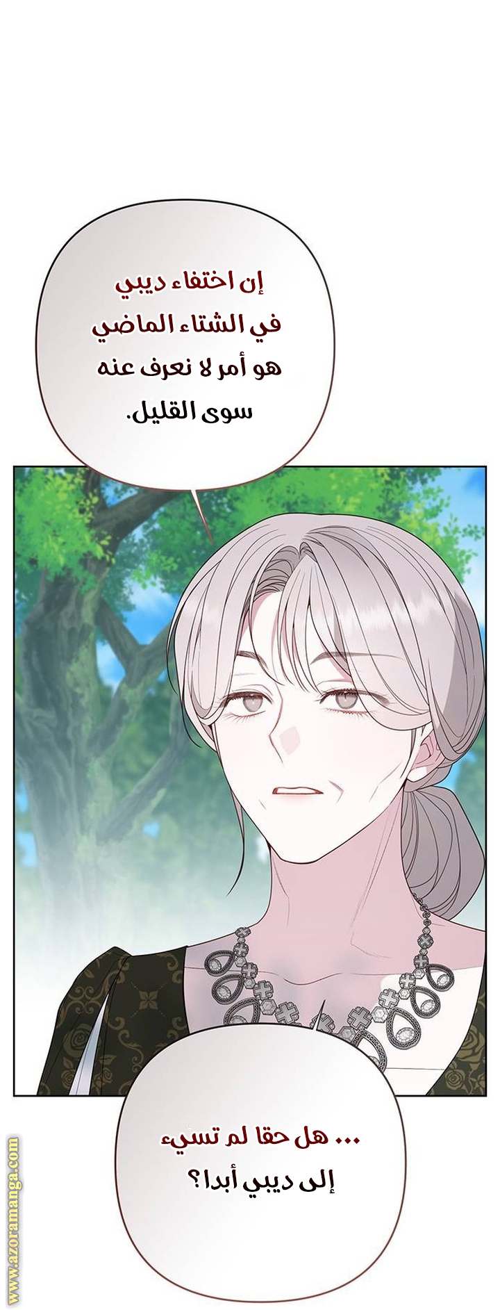 الصفحة 17