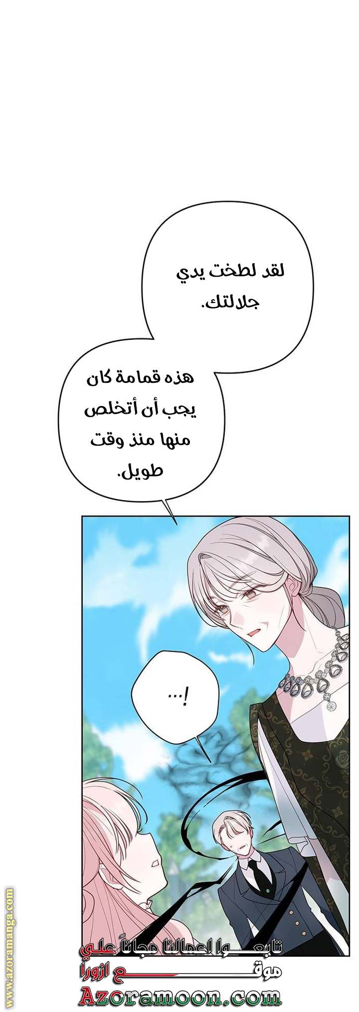 الصفحة 25