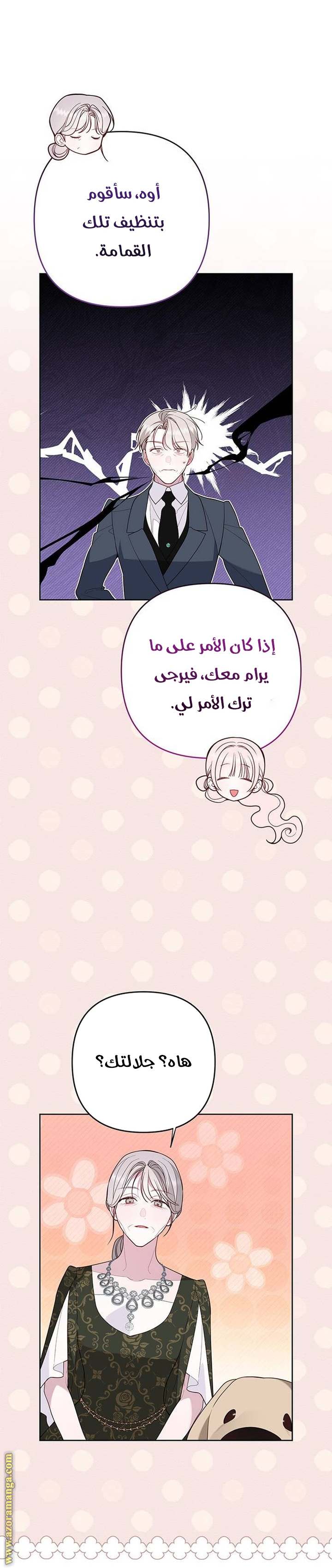 الصفحة 29