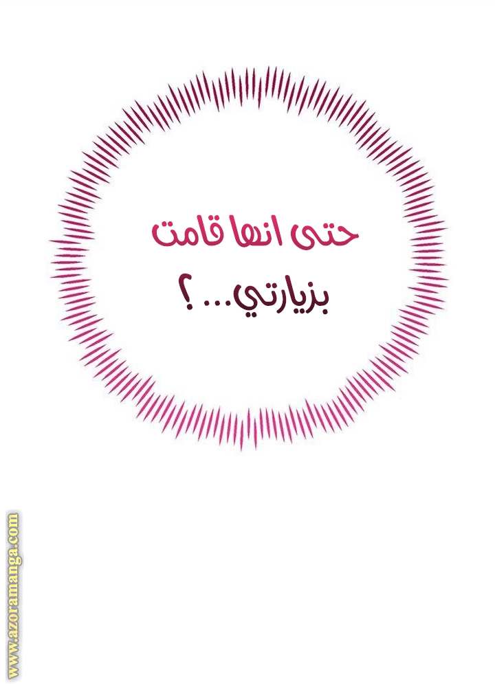 الصفحة 38
