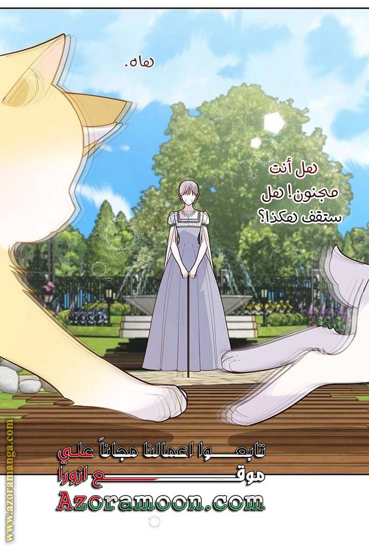 الصفحة 42