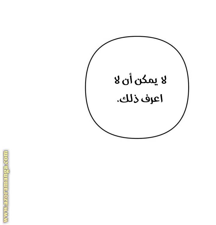 الصفحة 52