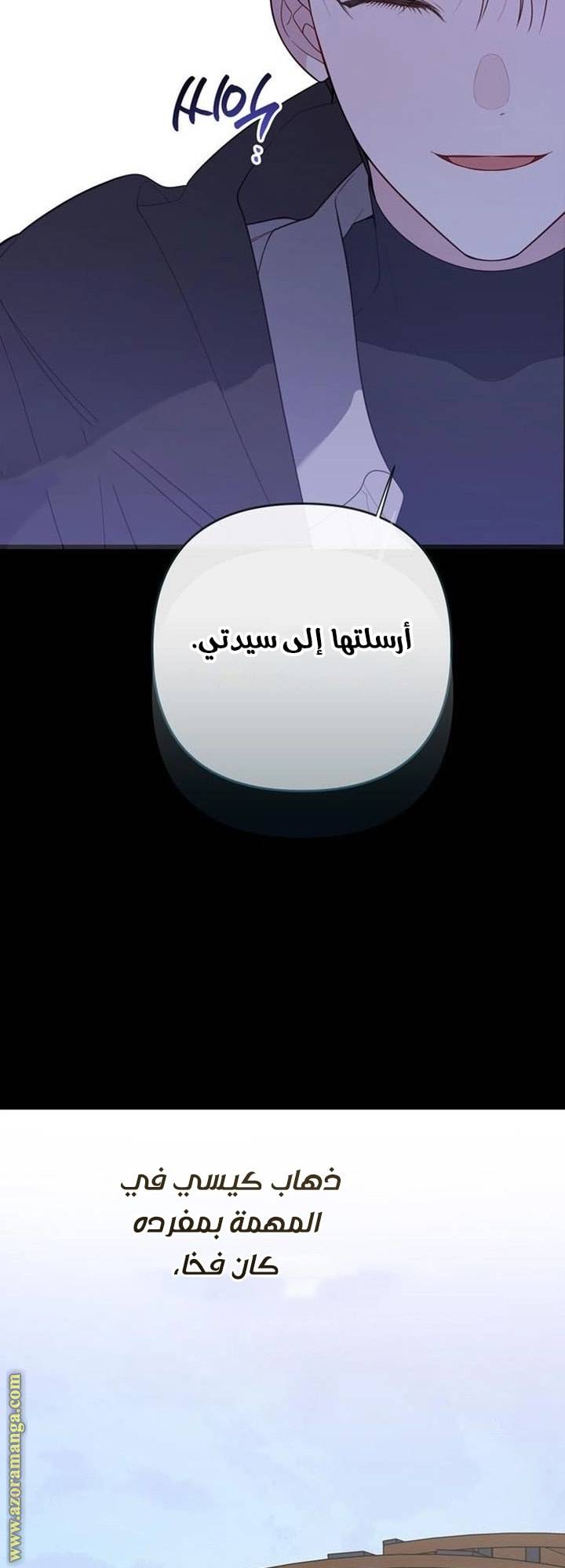 الصفحة 17