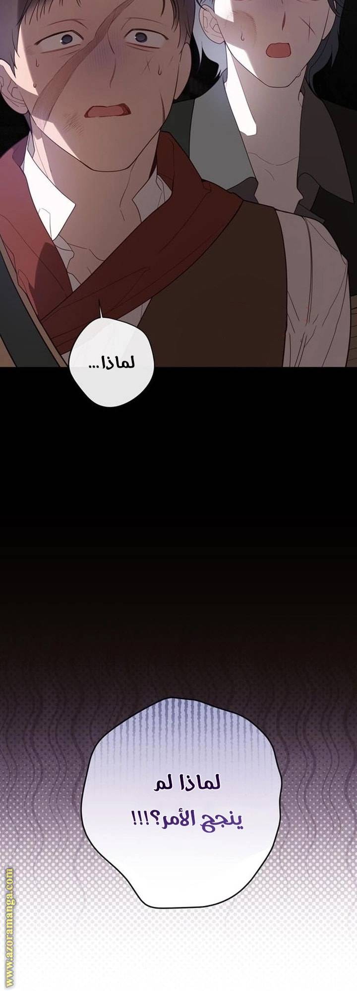 الصفحة 31