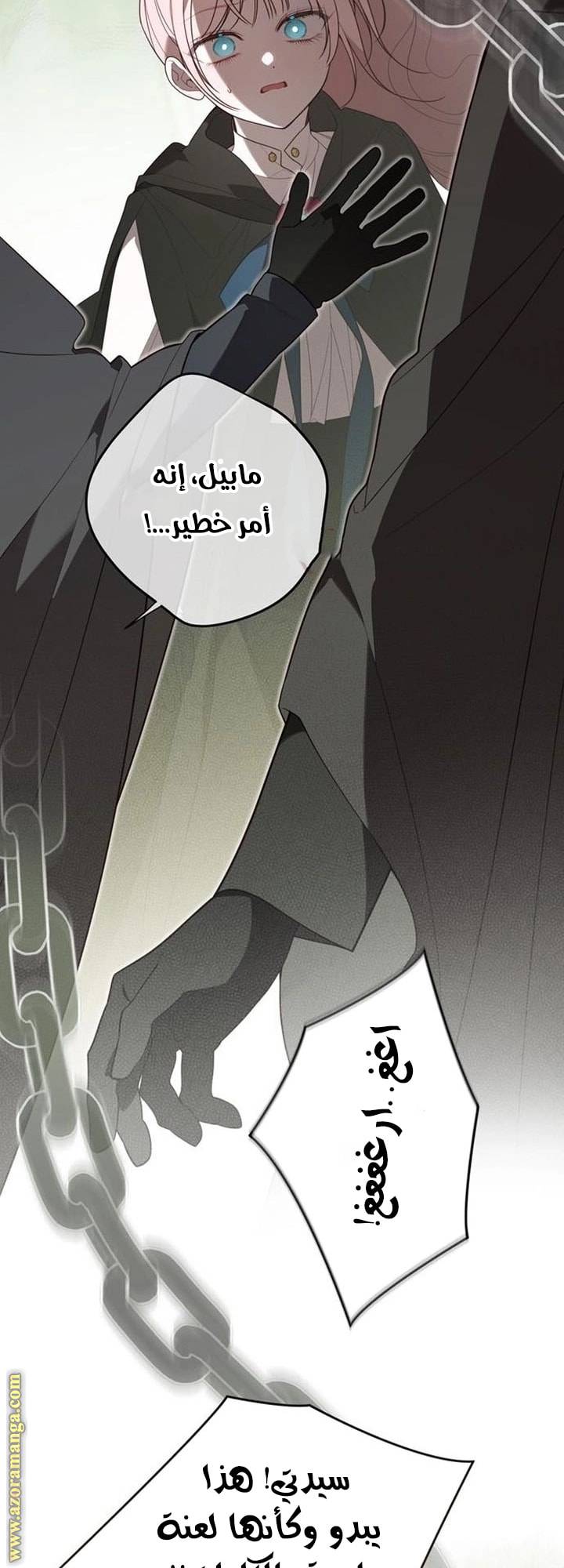 الصفحة 40