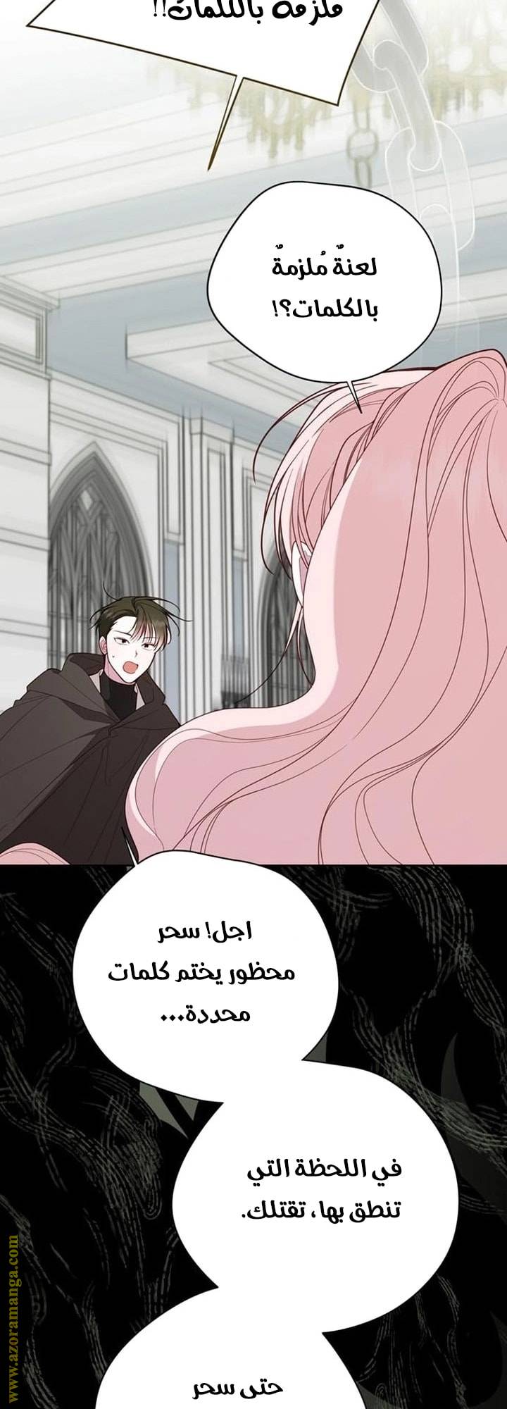 الصفحة 41