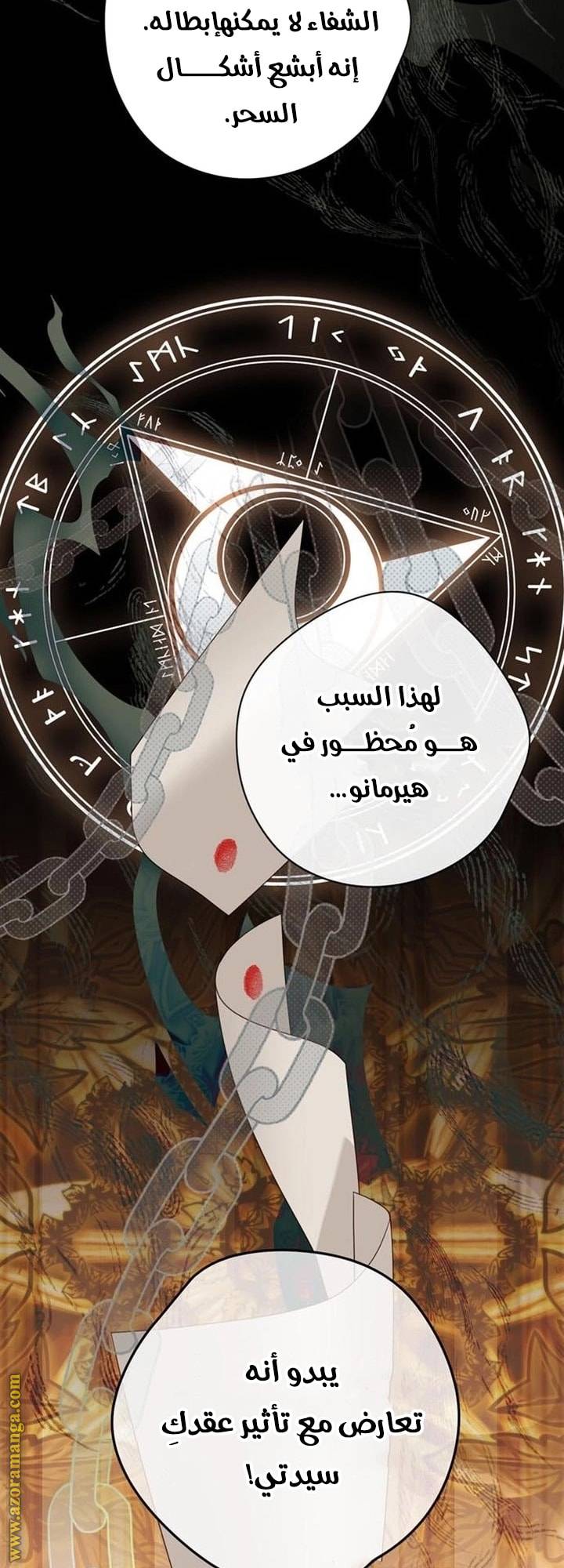 الصفحة 42
