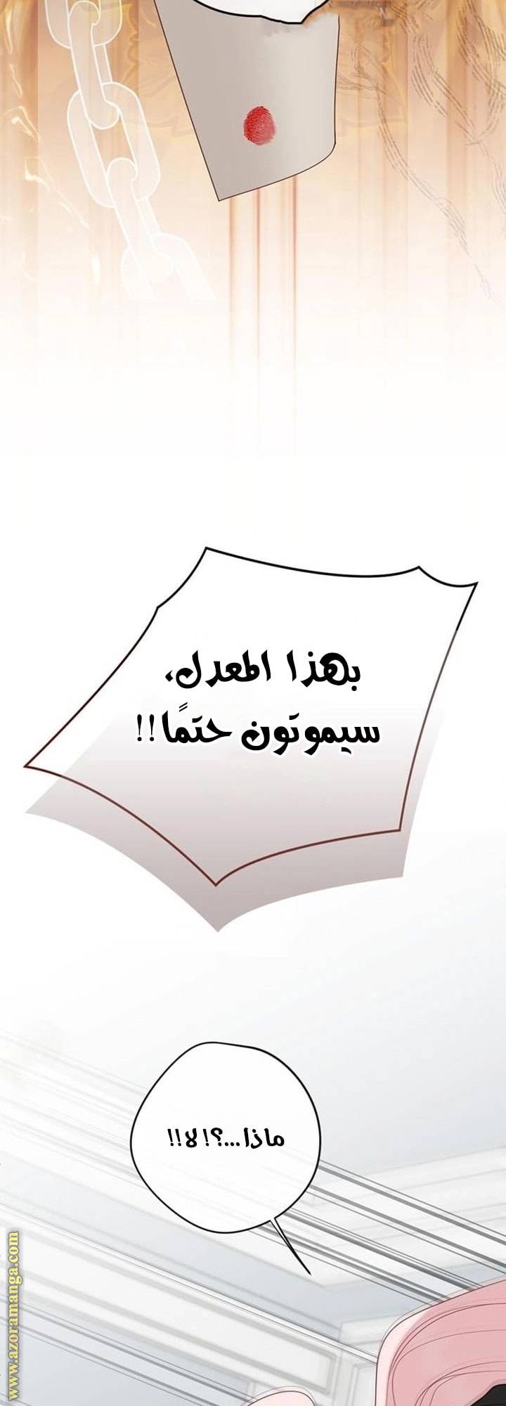 الصفحة 43