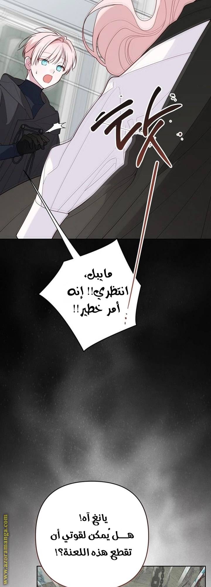 الصفحة 44