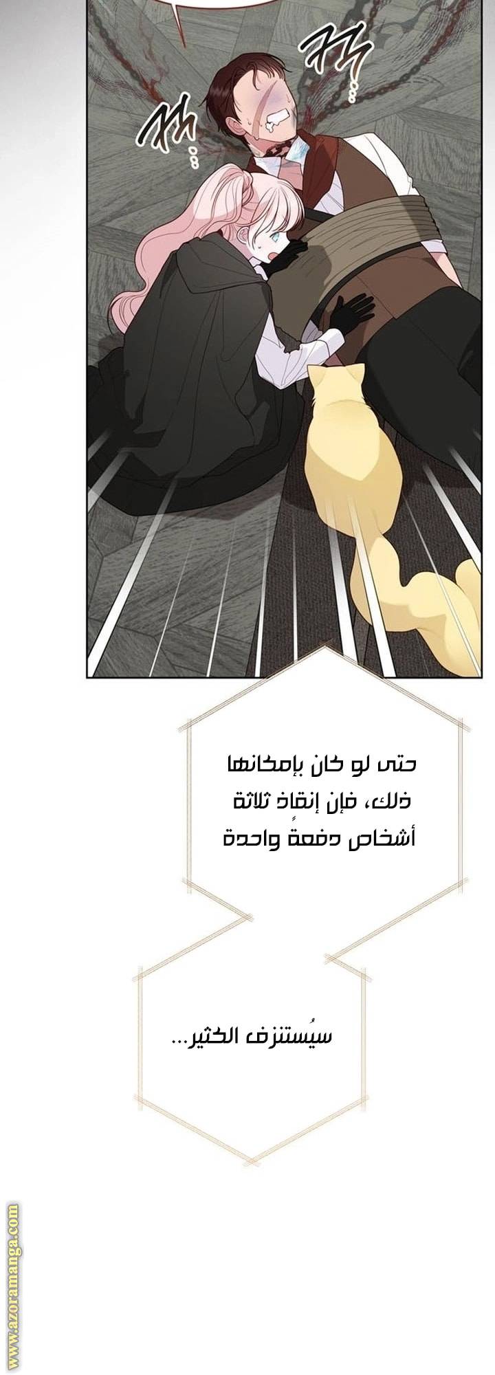 الصفحة 45